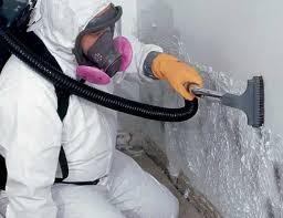 Best Airborne Mold Testing  in Contoocook, NH